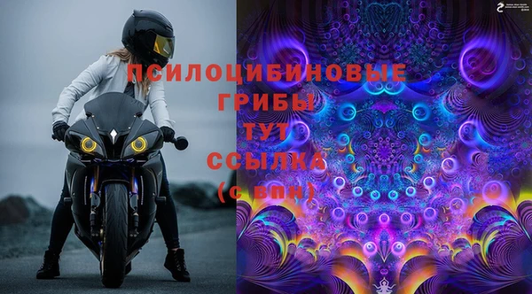 молекула духа Наволоки