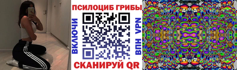 darknet Telegram  kraken как зайти  Элиста  Псилоцибиновые грибы мицелий 