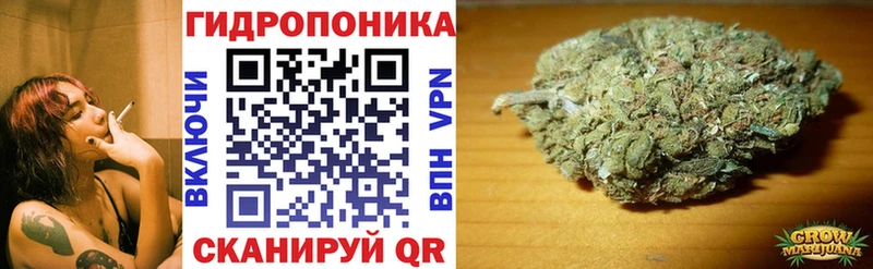 Конопля марихуана  продажа наркотиков  Элиста 